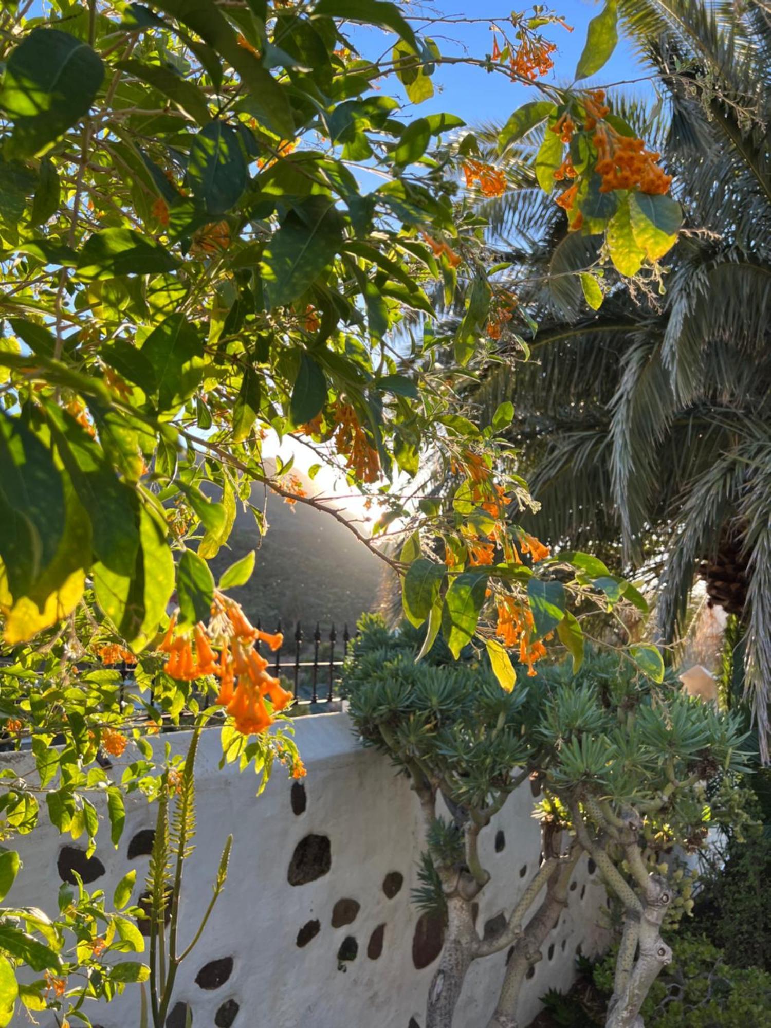 Finca Exclusiv La Mareta Agaete  Exterior foto