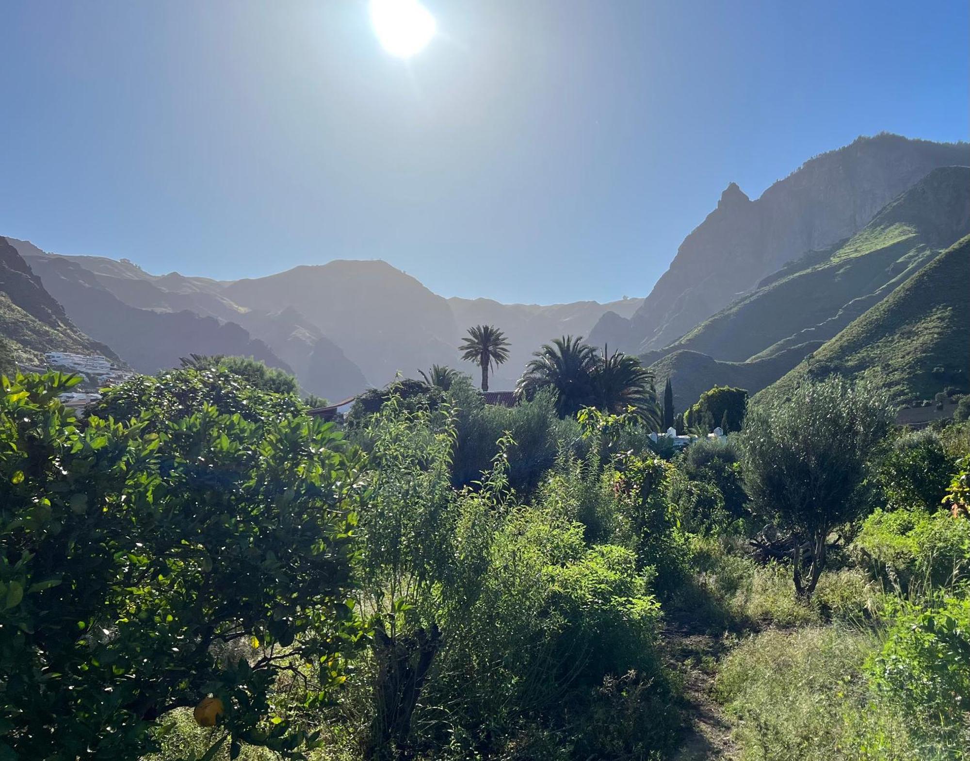 Finca Exclusiv La Mareta Agaete  Exterior foto